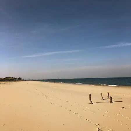 Olivia Baltic * Γκντανσκ